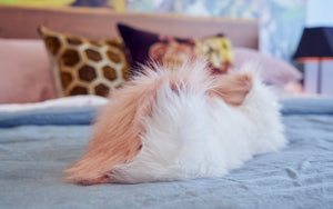 The Purr Low A Weighted Pillow That Purr s Like A Cat The Purr low