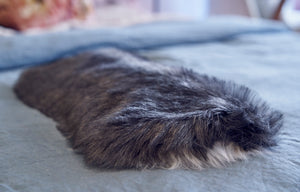 Toby purring pillow with tail 